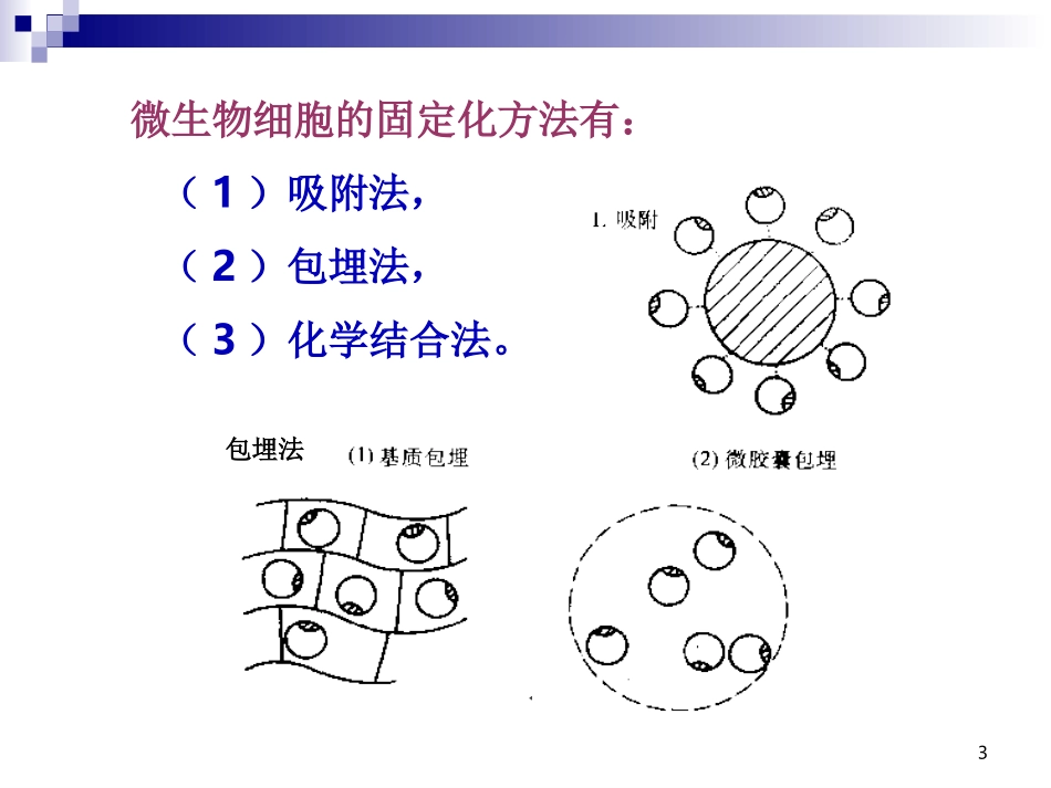 4.3《酵母细胞的固定化》课件---古振宣_第3页