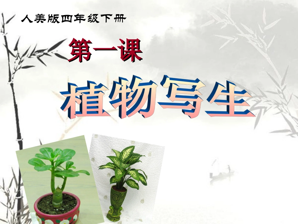 人美版小学四年级美术下册《植物写生》课件_第1页