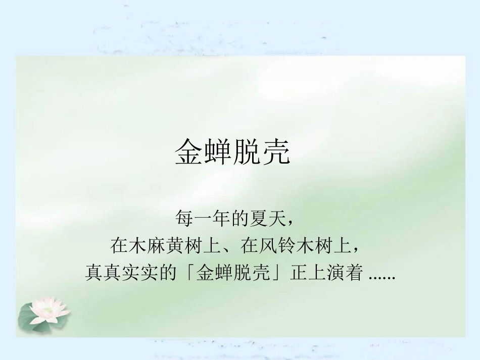 《金蝉脱壳》课件(苏教版小学语文五年级上册课件)_第1页