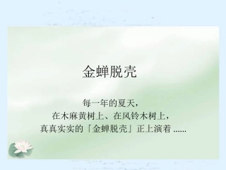 《金蝉脱壳》课件(苏教版小学语文五年级上册课件)