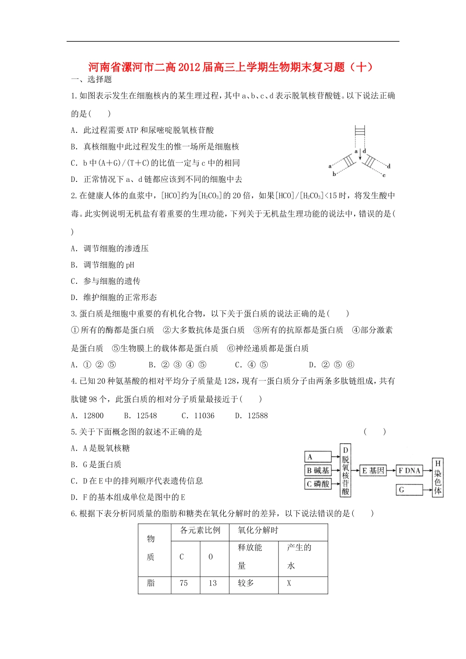 河南省漯河市二高2012届高三生物上学期期末复习题(十)_第1页