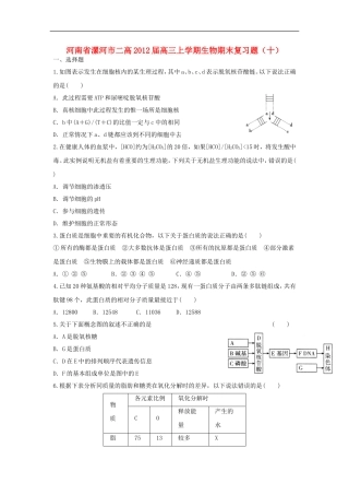 河南省漯河市二高2012届高三生物上学期期末复习题(十)