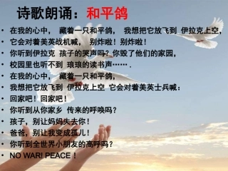 第十七课战争与和平