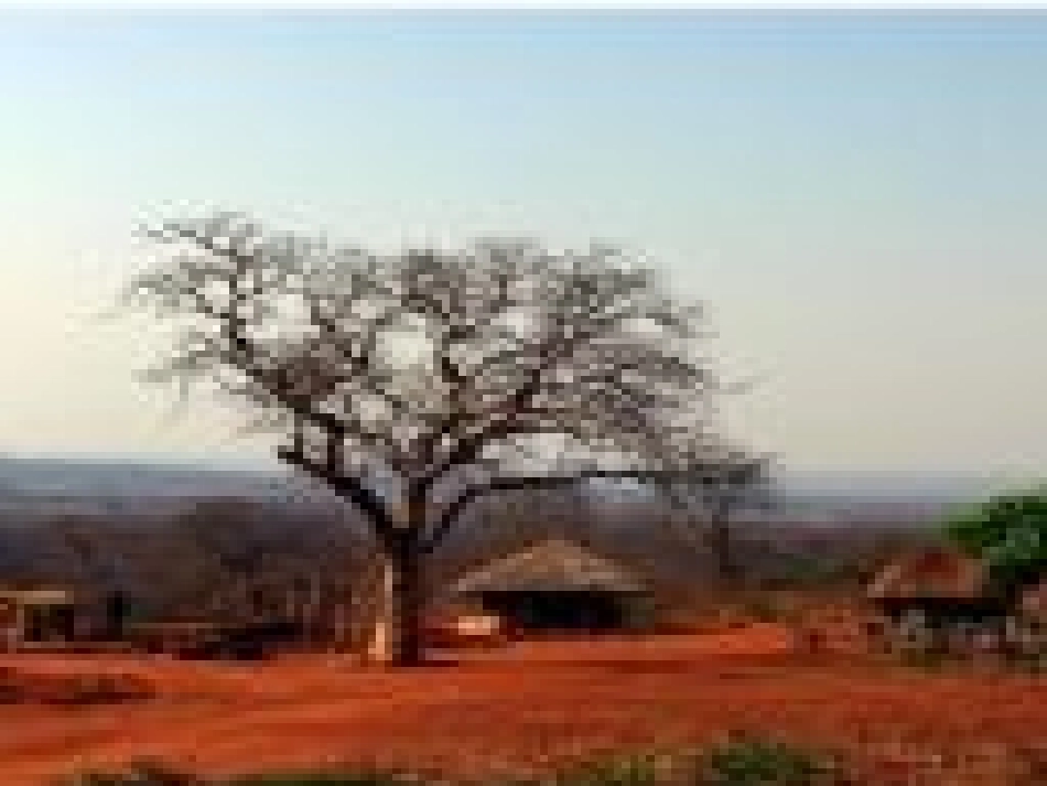 27.卖木雕的少年_第3页