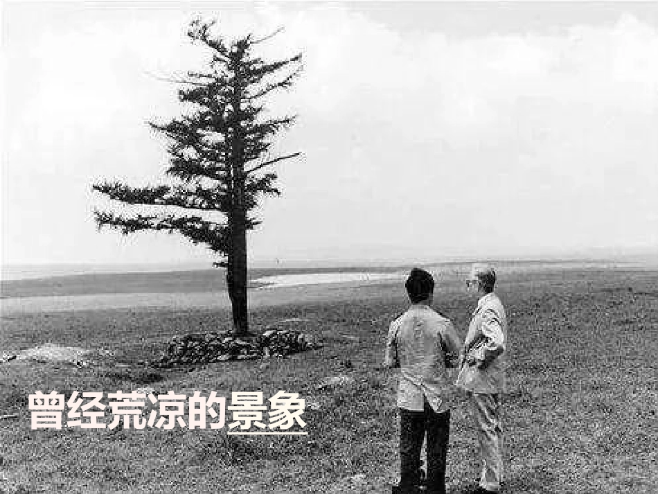 与生物学有关的职业-林业工程师_第3页