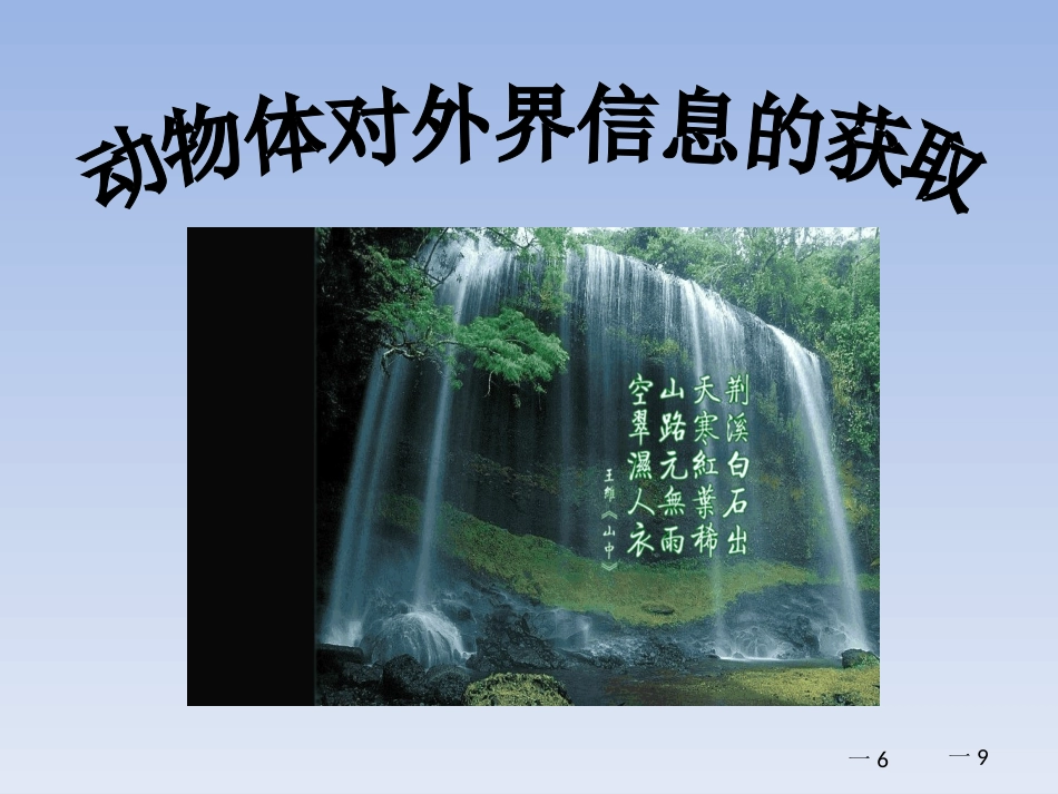 第1节动物体对外界信息的获取_第1页
