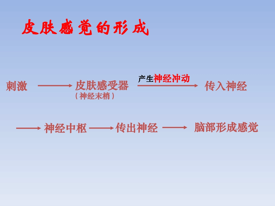 第1节动物体对外界信息的获取_第3页