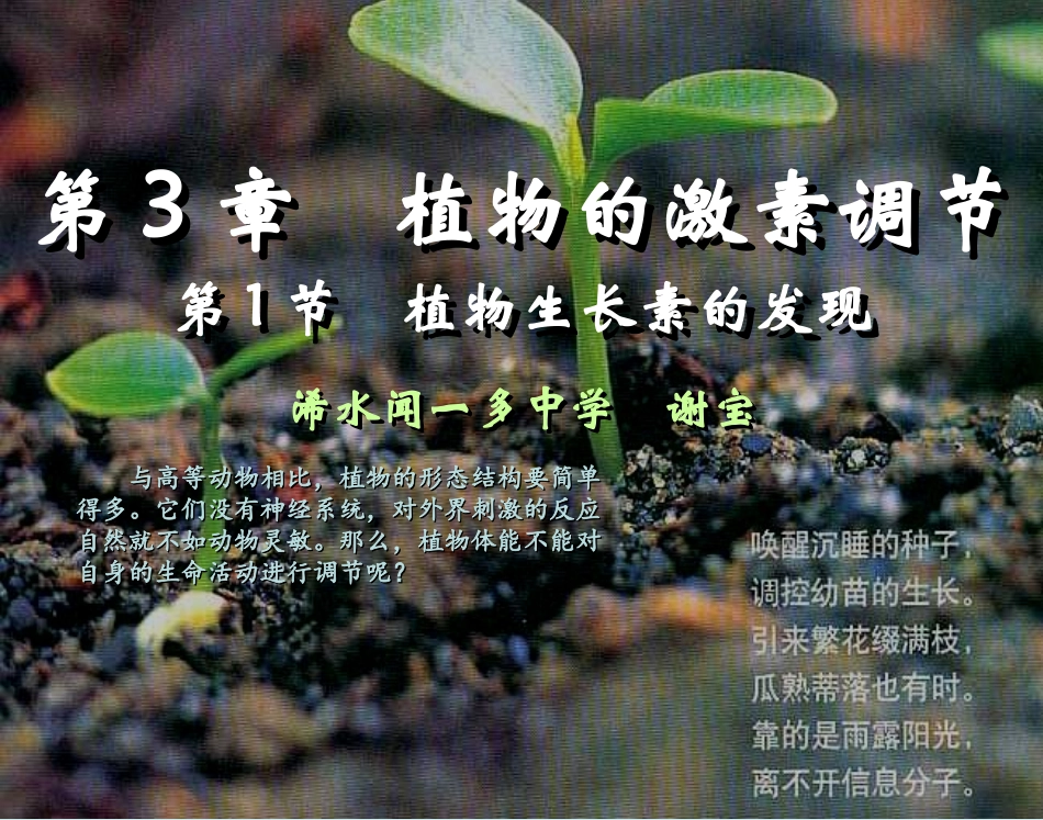 人教新课标高中生物必修三第三章第1节《植物生长素的发现》_第1页