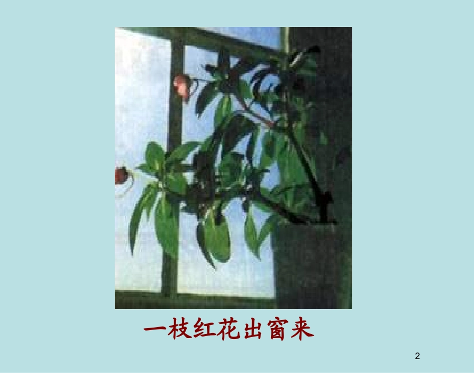 人教新课标高中生物必修三第三章第1节《植物生长素的发现》_第2页