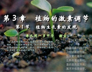 人教新课标高中生物必修三第三章第1节《植物生长素的发现》