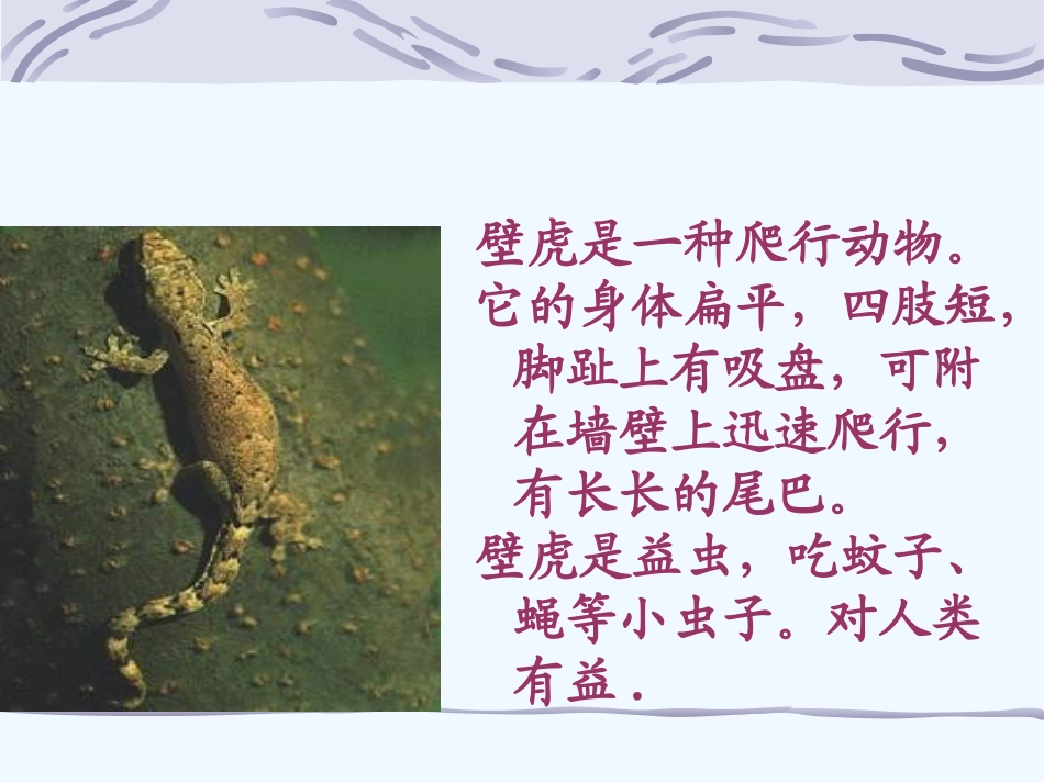 (部编)人教语文2011课标版一年级下册《小壁虎借尾巴》-(7)_第3页