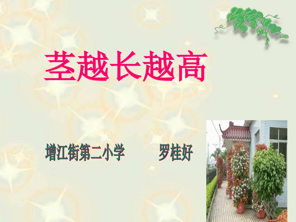 我们先看到了根_第1页