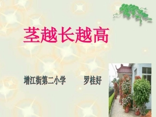 我们先看到了根