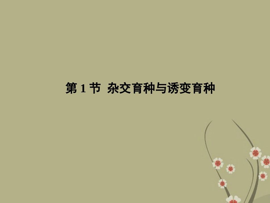 高中生物-6-1杂交育种与诱变育种课件-新人教版必修2_第2页