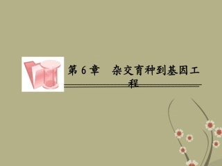 高中生物-6-1杂交育种与诱变育种课件-新人教版必修2