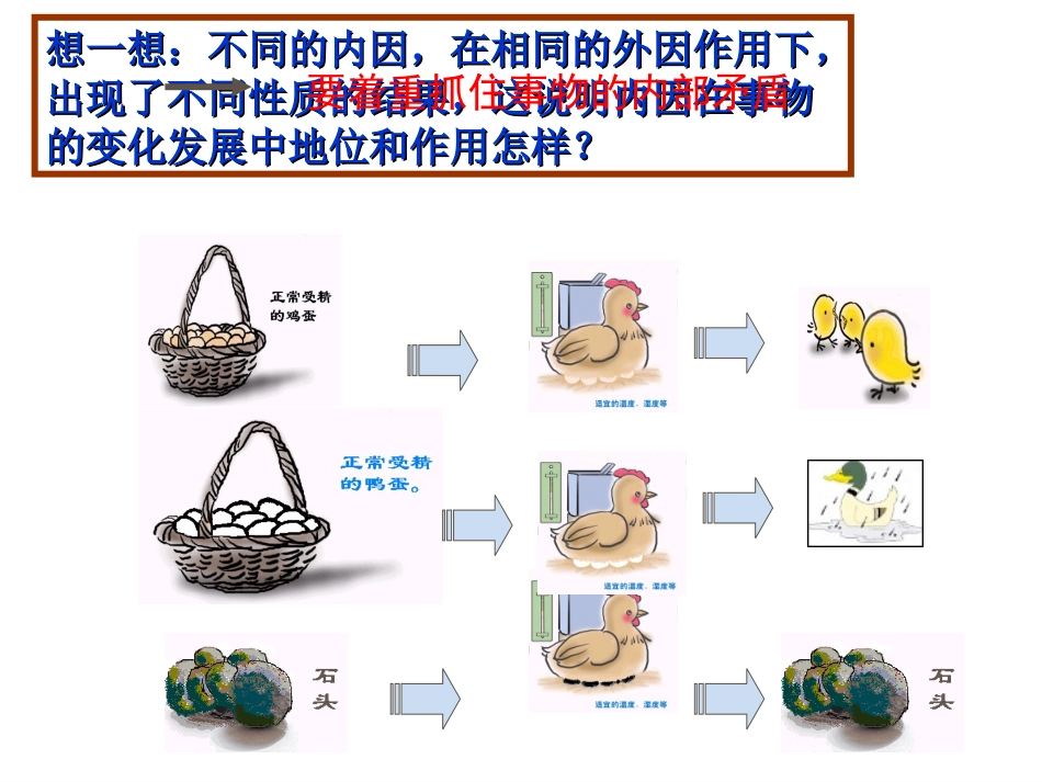 综合探究-坚持唯物辩证法-反对形而上学-(2)_第3页