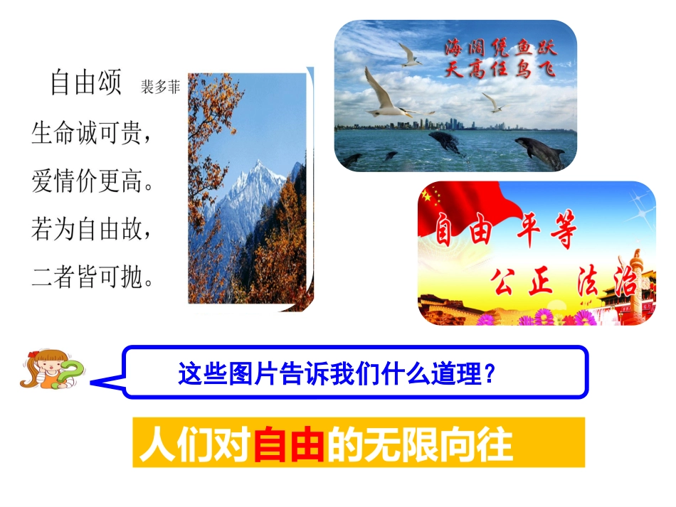 自由平等的真谛-(3)_第3页