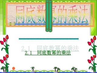 同底数幂的乘法.1.1同底数幂的乘法ppt.-(2)