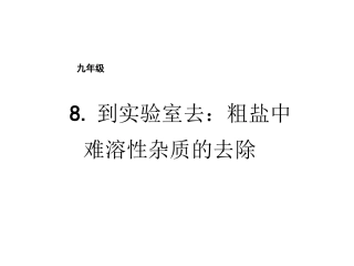 到实验室去：探究酸和碱的化学性质-(2)
