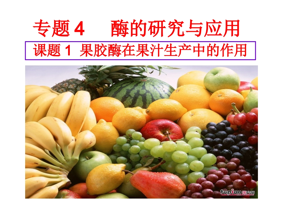 边做边学制备果胶酶并观察其作用_第1页
