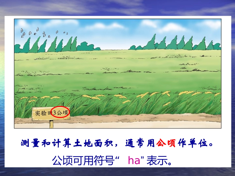 小学人教四年级数学公顷和平方千米-(13)_第3页