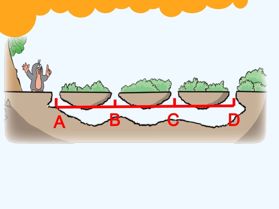 小学数学北师大2011课标版四年级数图形的学问-(3)_第3页