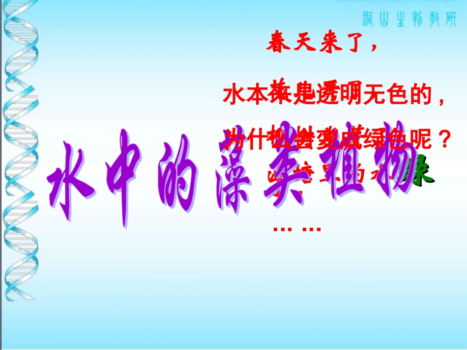 第2节水中的藻类植物_第1页