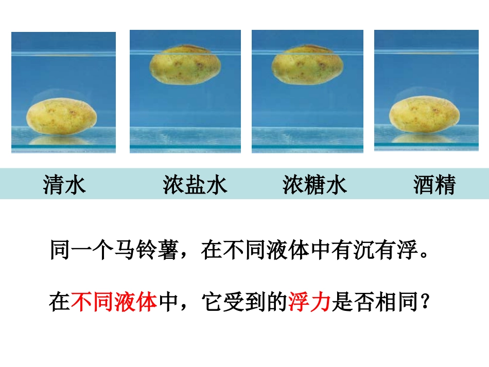 探索马铃薯沉浮的原因_第2页