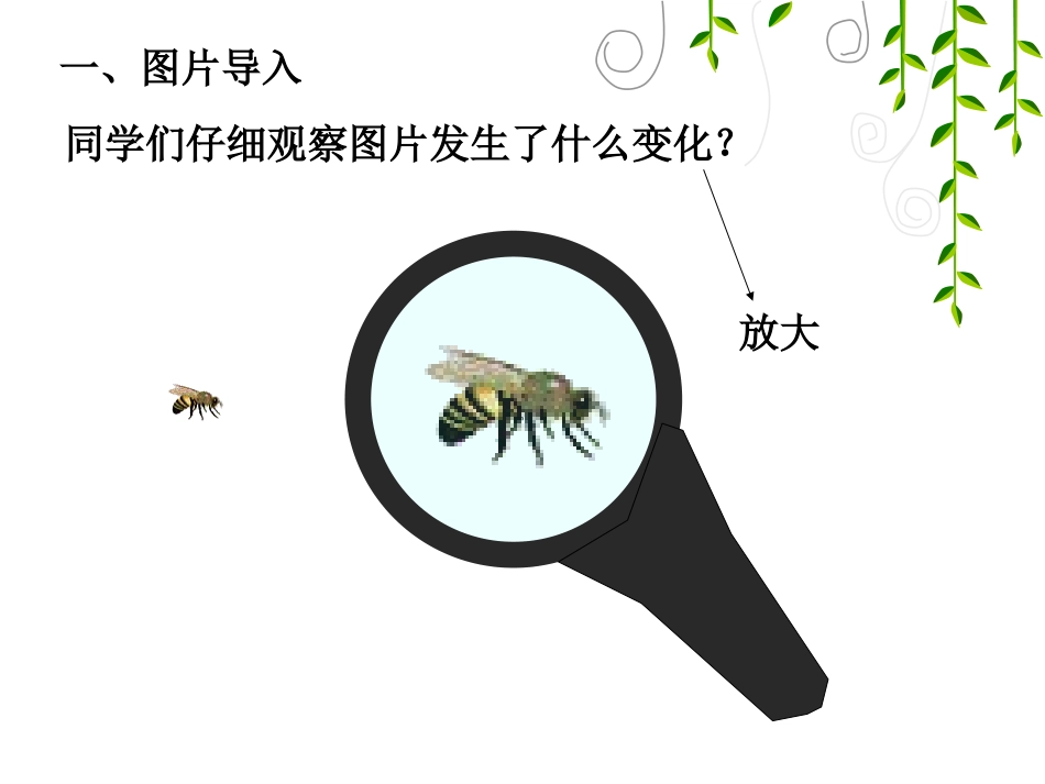 图形与变换-(4)_第2页