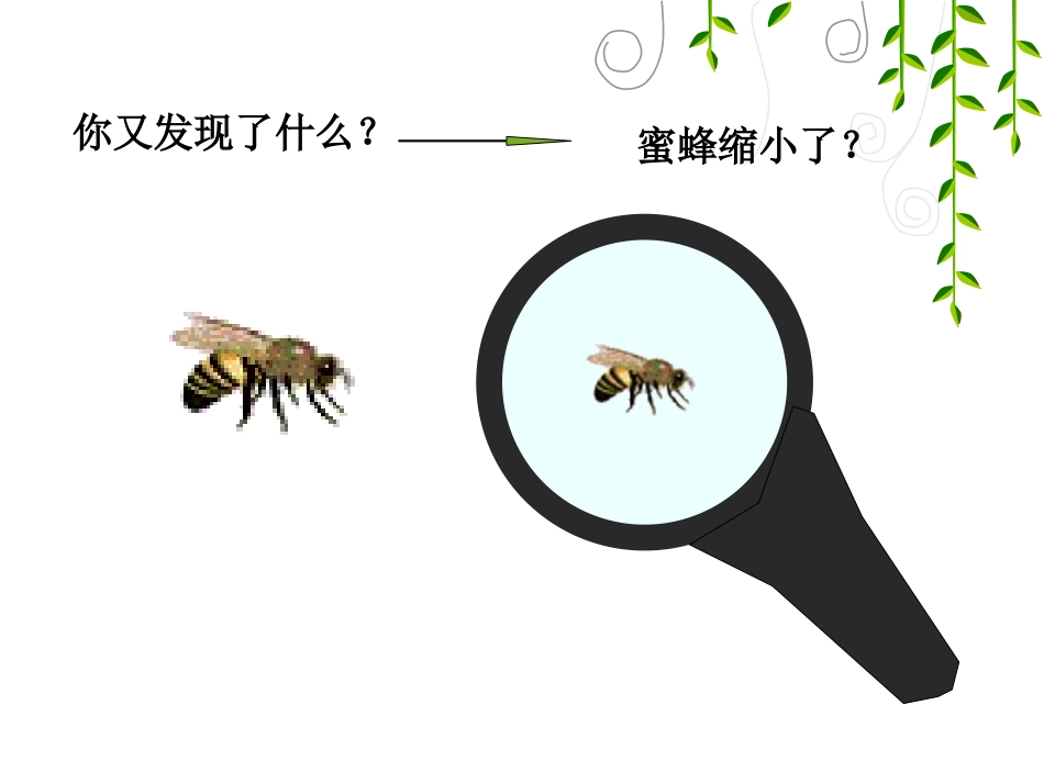 图形与变换-(4)_第3页