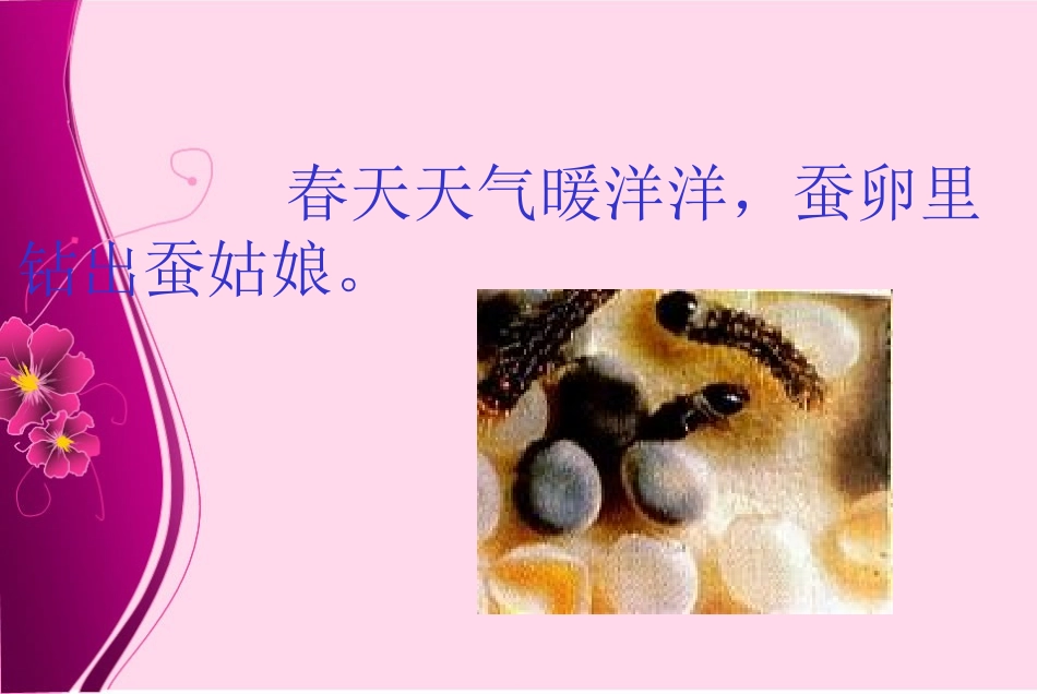 小学二年级下学期语文《蚕姑娘》PPT课件_第3页
