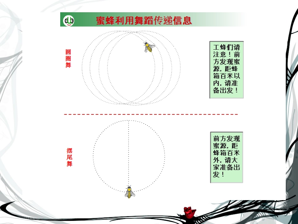 《生态系统的信息传递》课件2_第2页