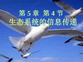 《生态系统的信息传递》课件2