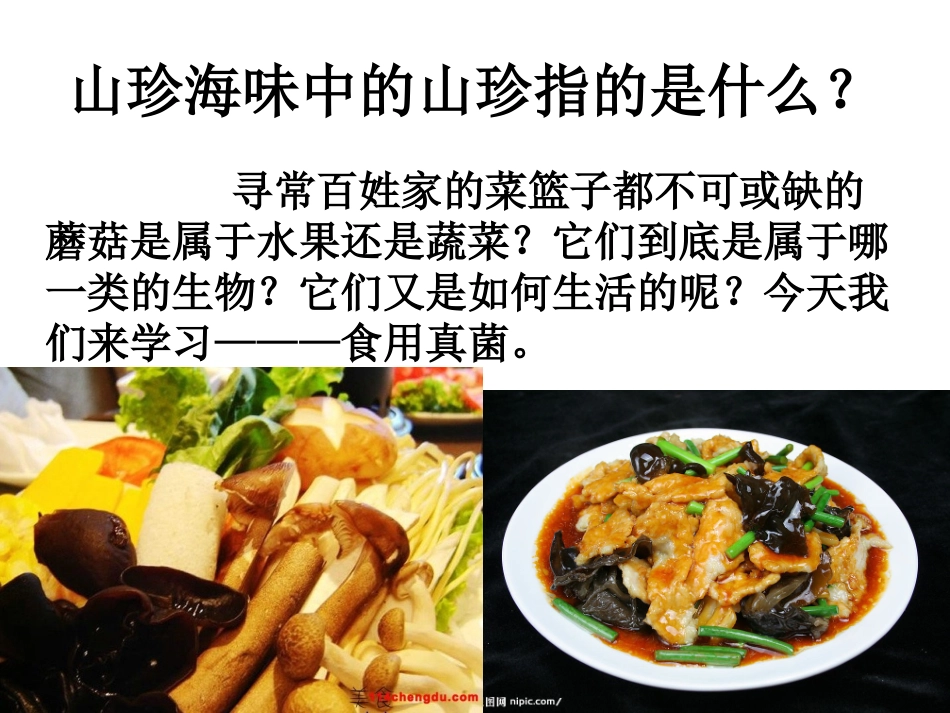 第二节食用真菌_第3页