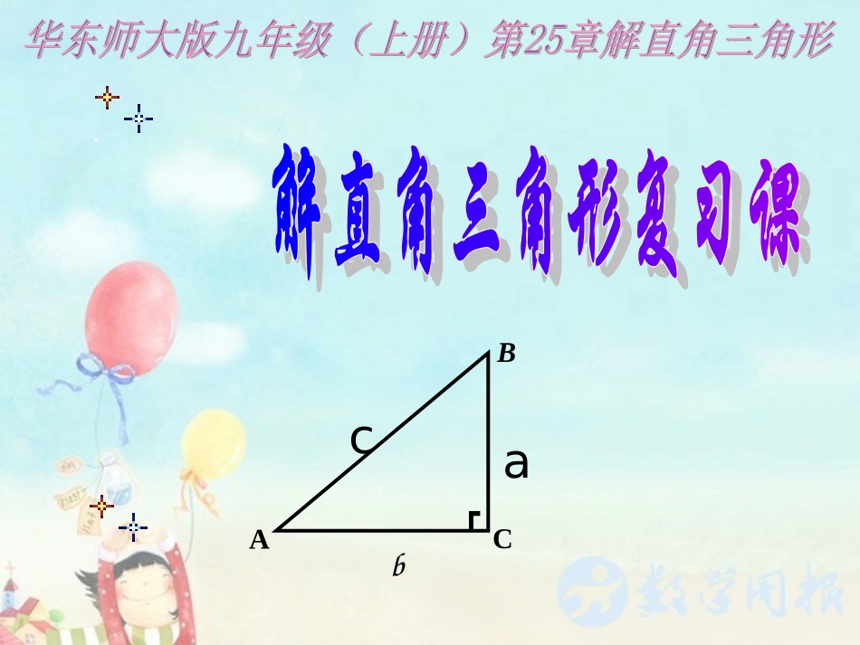 解直角三角形复习课_第2页