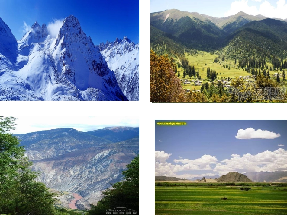 海拔最高的牧区_第2页