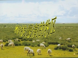 海拔最高的牧区
