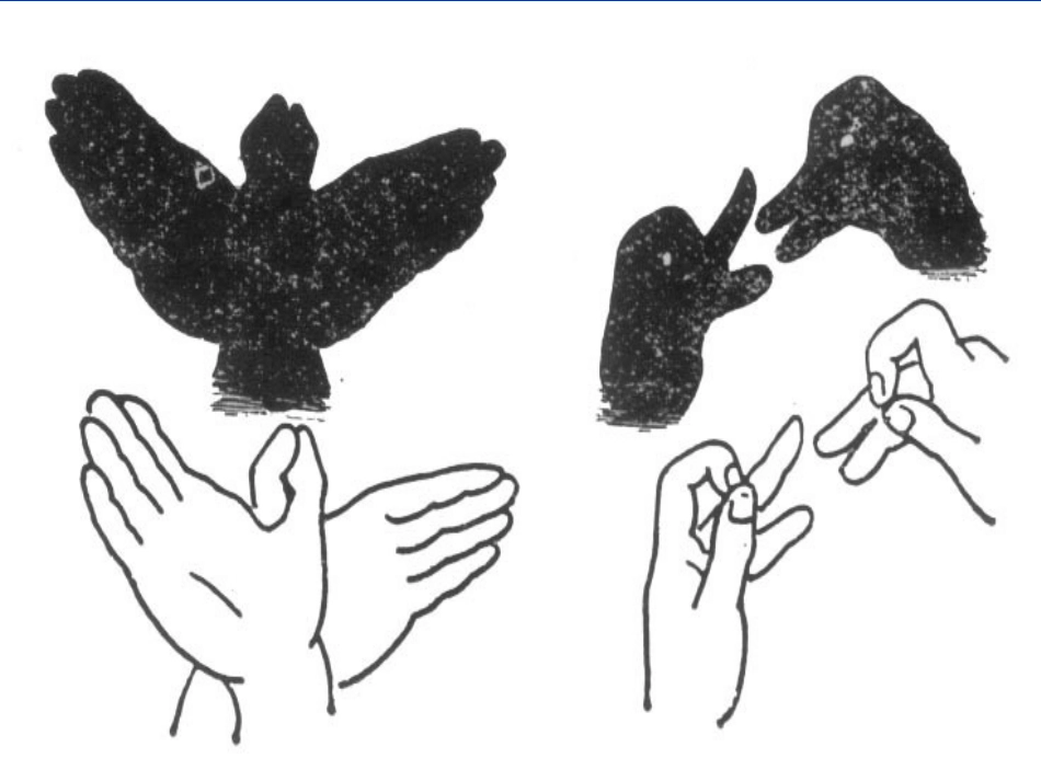 1.2.1中心投影与平行投影-(4)_第3页