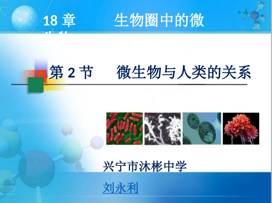 第2节微生物与人类的关系_第1页