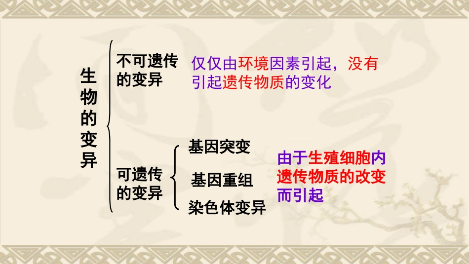 科学·技术·社会-基因治疗-(3)_第3页