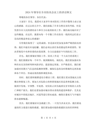 2024年领导在全市防汛会议上的讲话例文(二) 