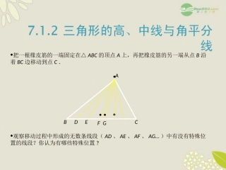 河南省濮阳市南乐县寺庄乡初级中学七年级数学《7.1.2-三角形的高、中线与角平分线》课件2