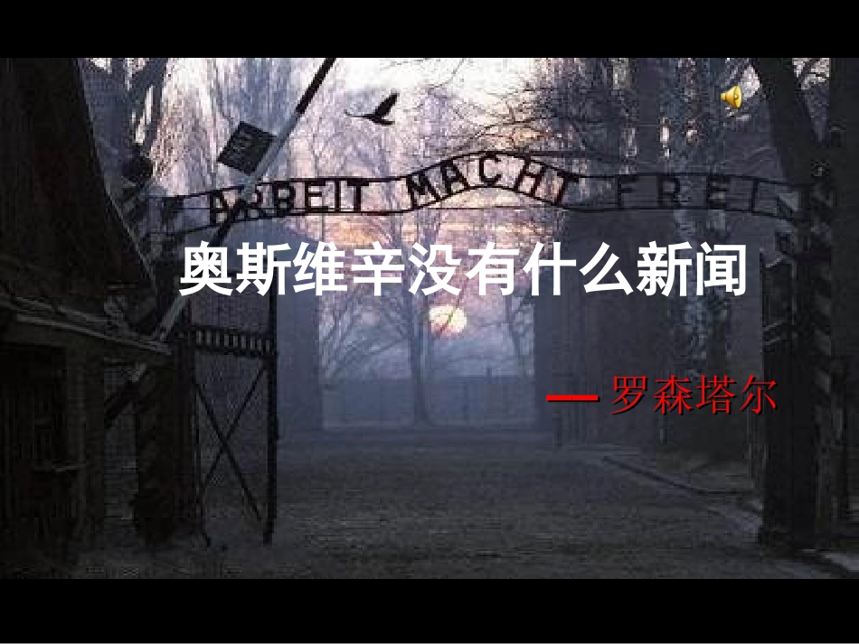 奥斯维辛没有新闻_第2页