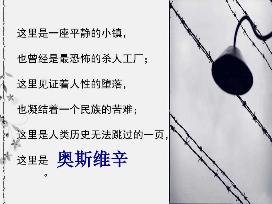 奥斯维辛没有新闻_第3页