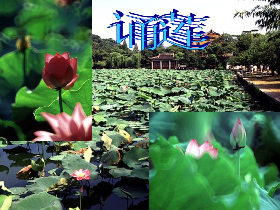 爱莲说课件-(2)_第2页