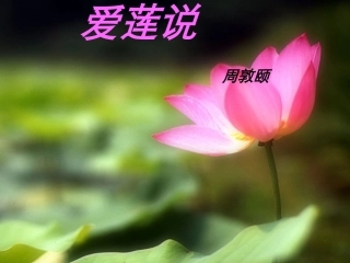 爱莲说课件-(2)