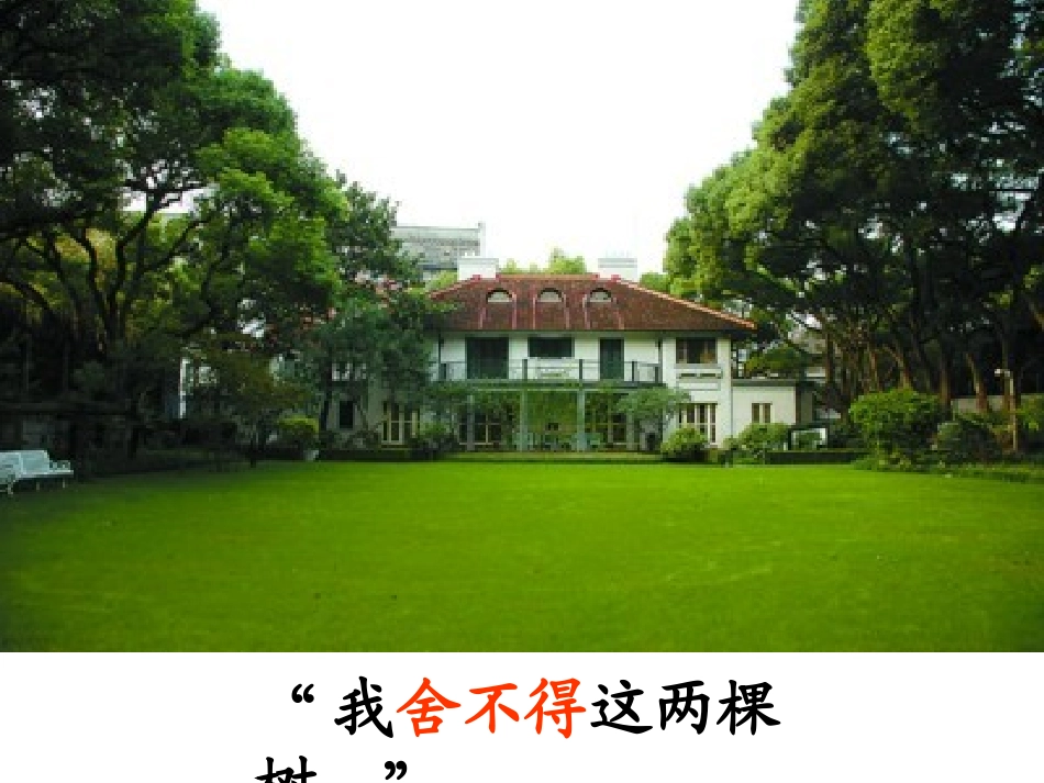22《宋庆龄故居的樟树》课件_第2页