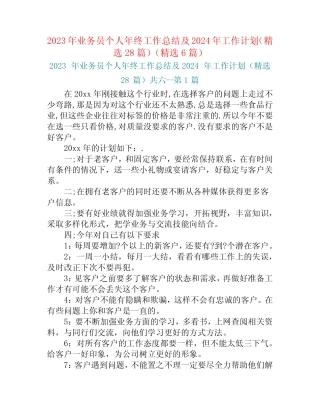 2023年业务员个人年终工作总结及2024年工作计划(精选28篇)(精选6篇