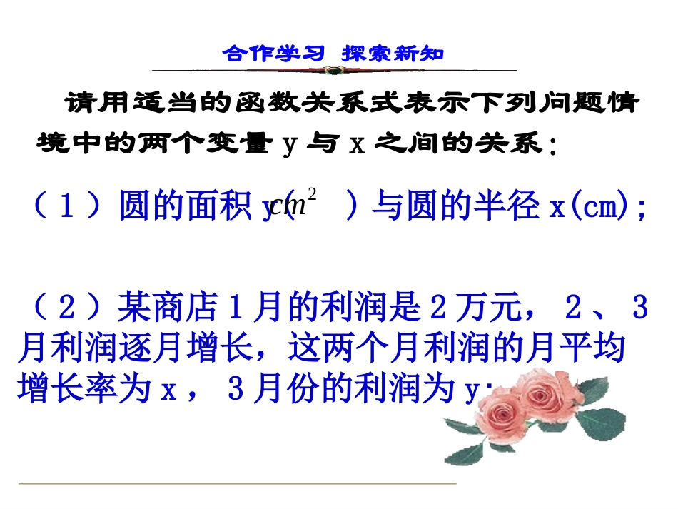 1.1二次函数-(4)_第3页