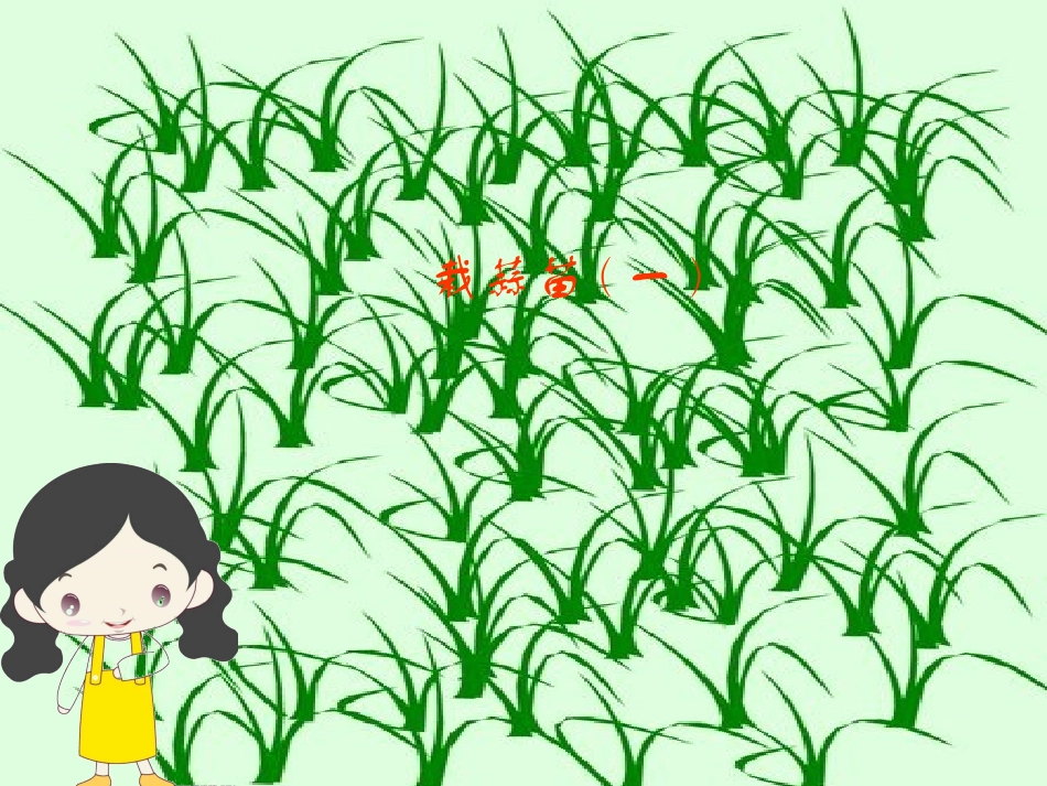 小学数学北师大2011课标版四年级《栽蒜苗(一)》课件.ppt_第1页